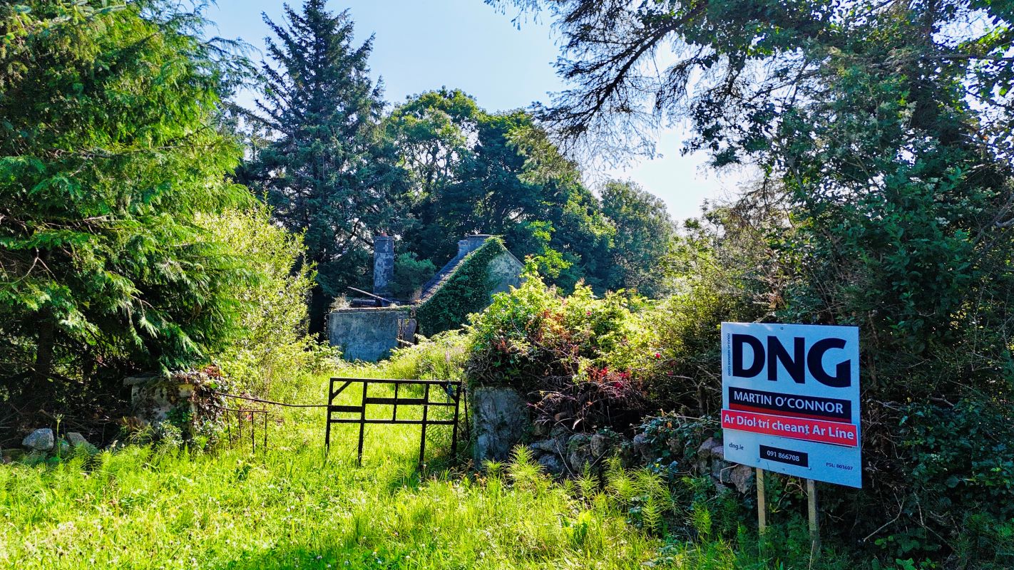 Primary Lot Photo