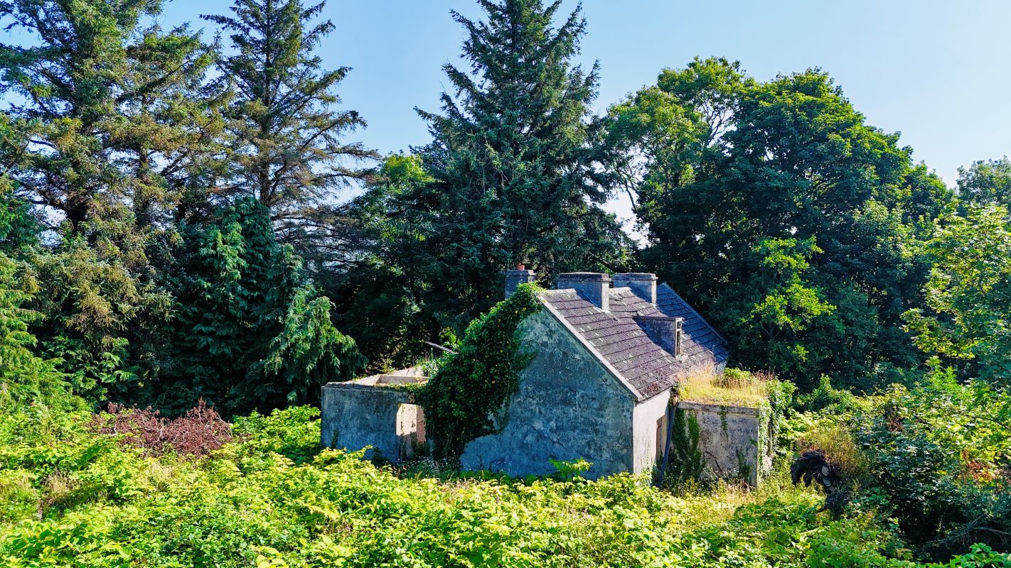 Lot Image