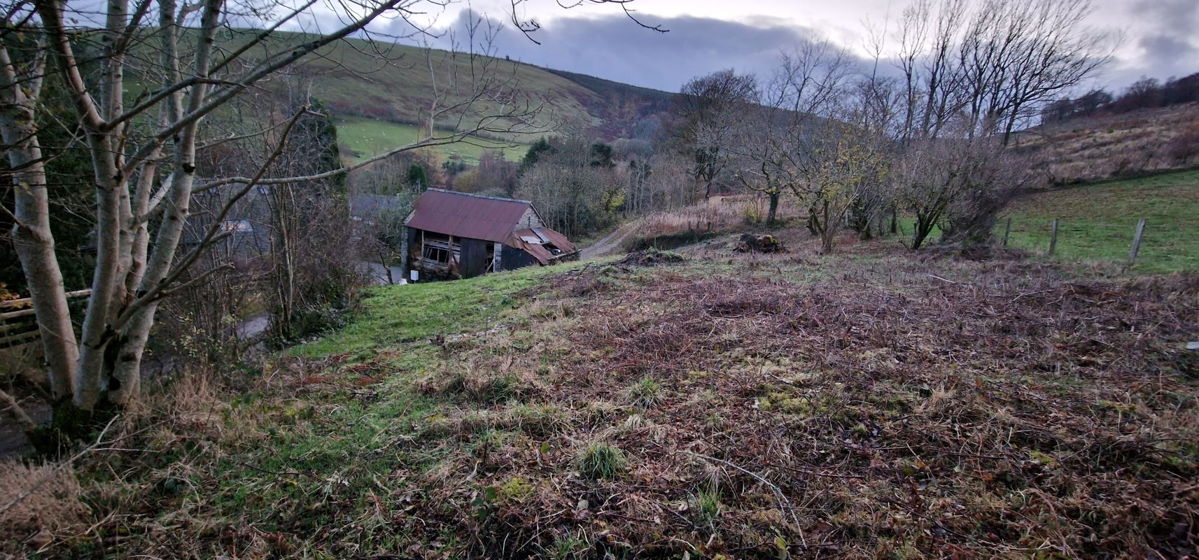 Lot Image