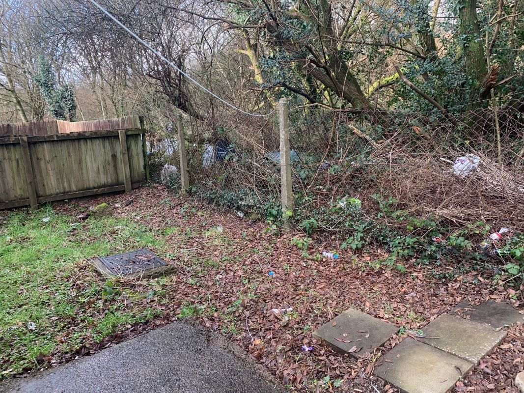 Lot Image