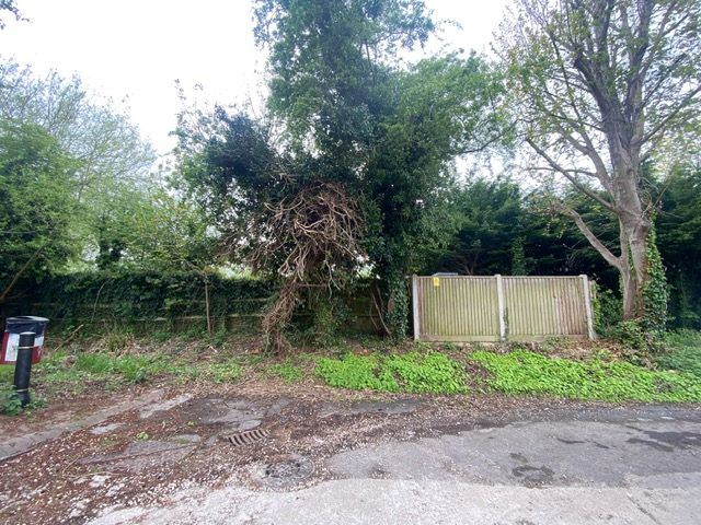 Lot Image