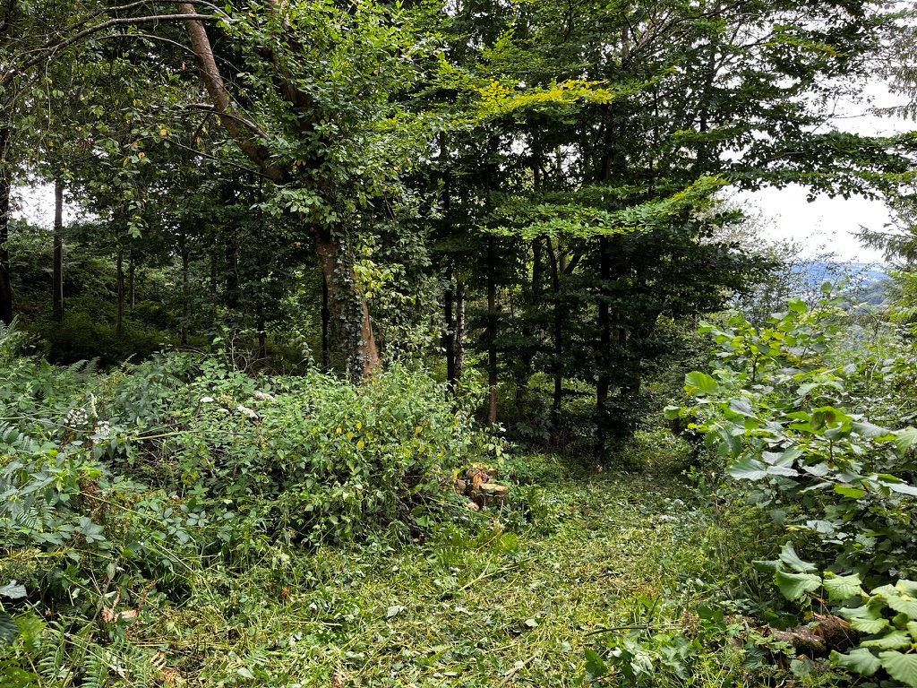 Primary Lot Photo