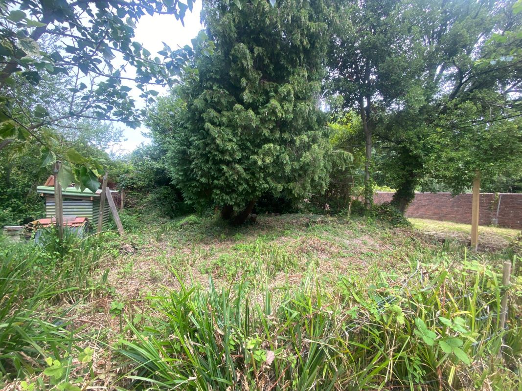 Primary Lot Photo