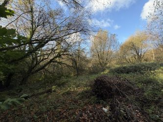 Plot of land, Snodwell Farm Post Lane, Cotliegh, Honiton, Devon, EX14 9HZ