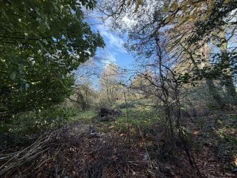 Plot of land, Snodwell Farm Post Lane, Cotliegh, Honiton, Devon, EX14 9HZ