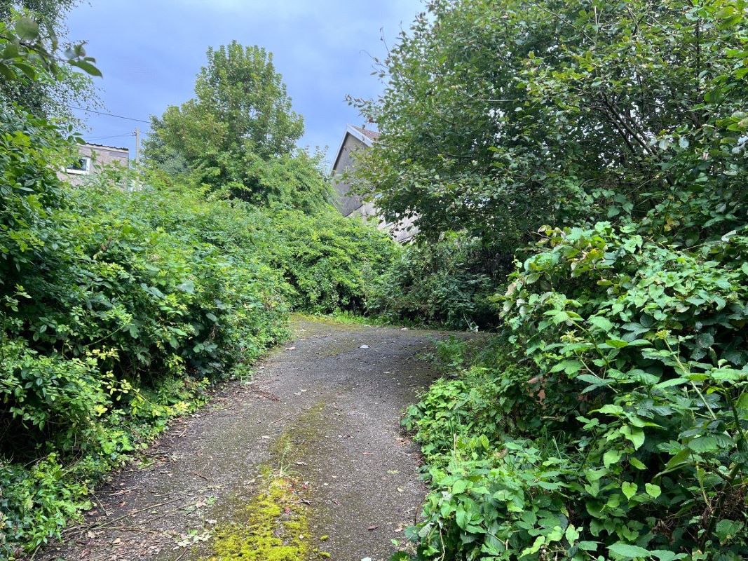 Lot Image