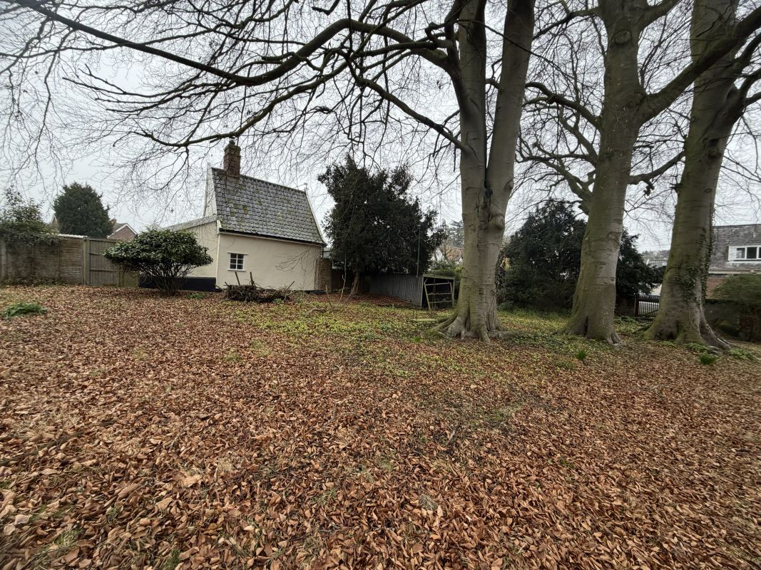 Lot Image