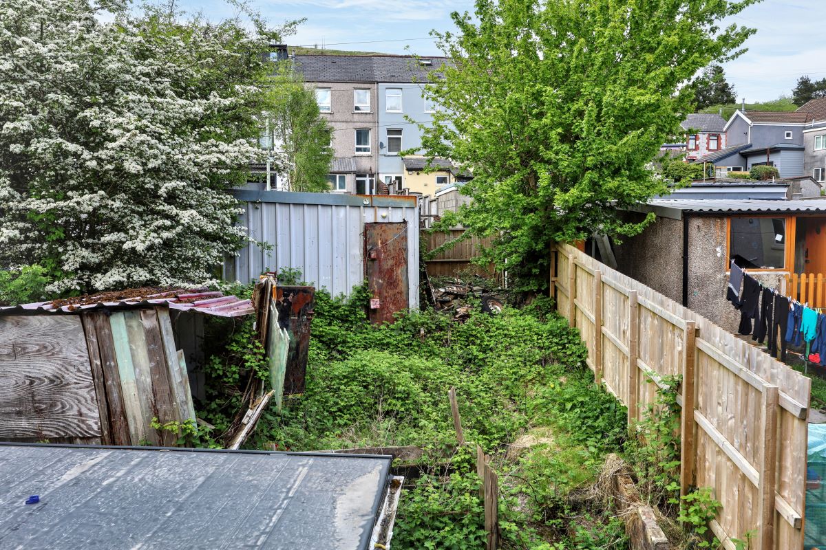 Lot Image