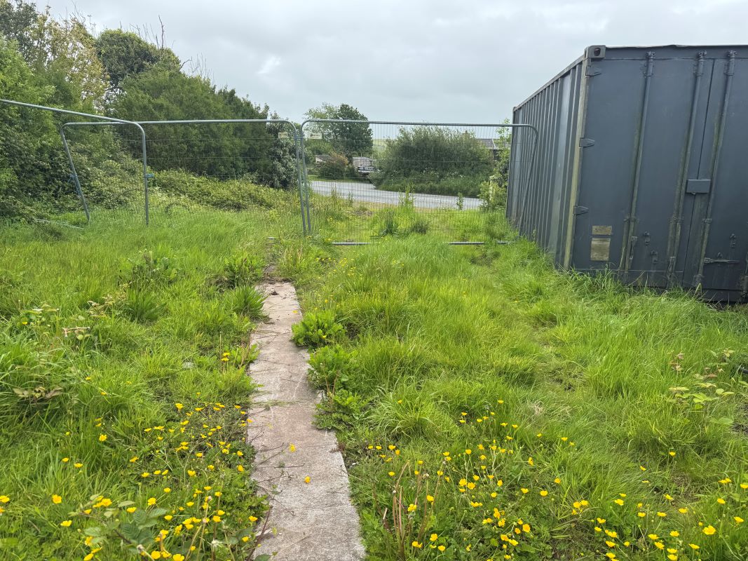 Image 6 of 12