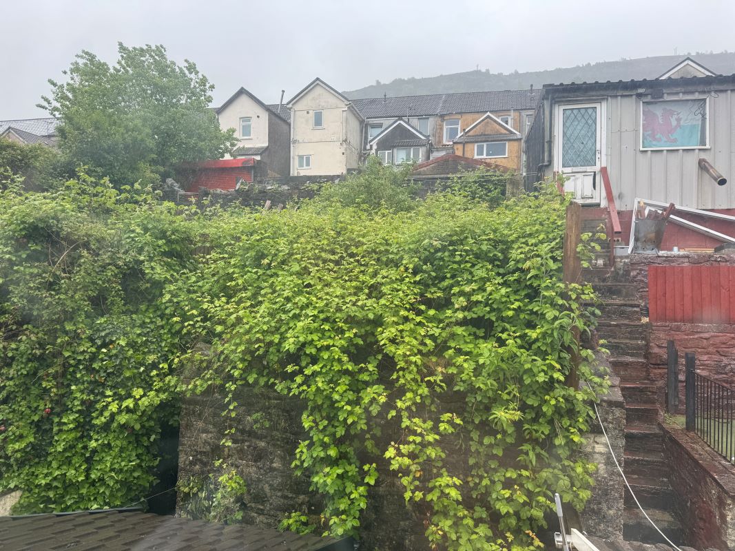 Image 12 of 13