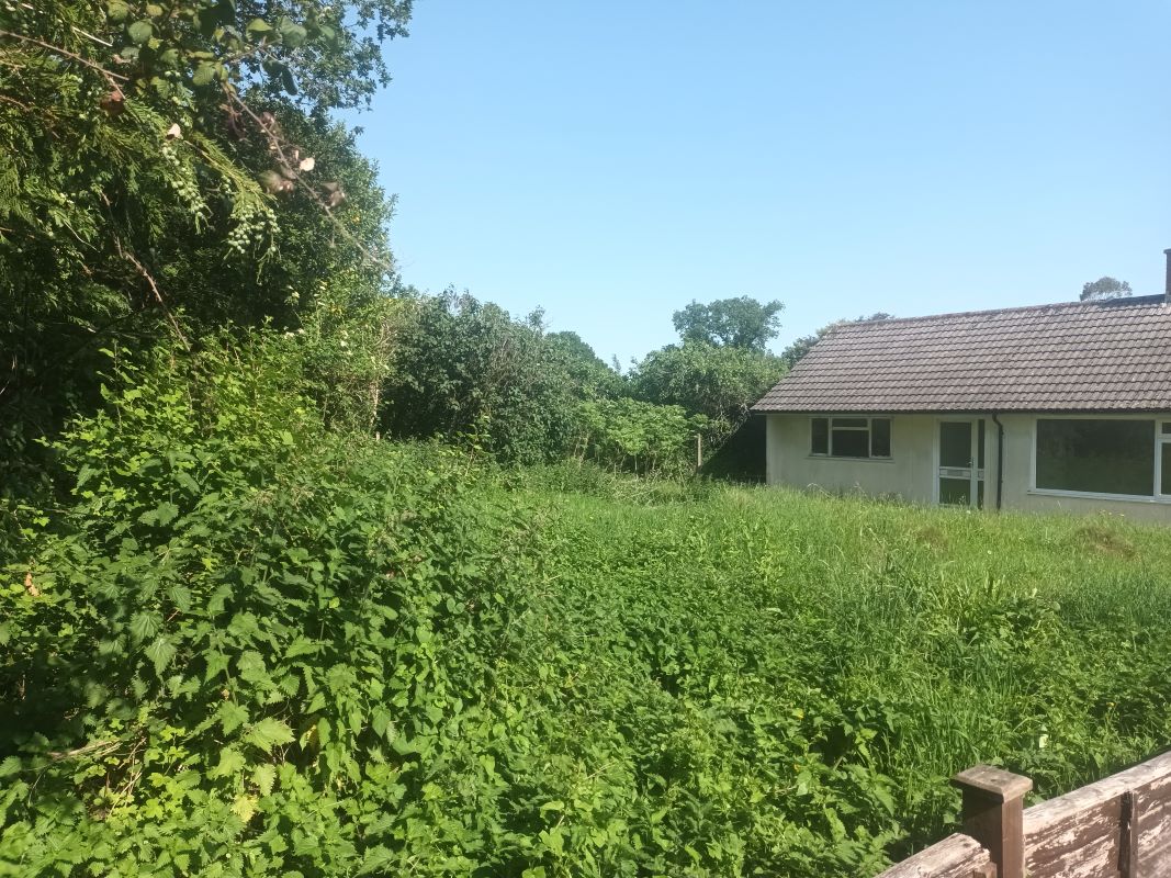 Image 2 of 14