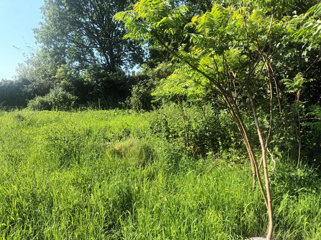 Image 6 of 14