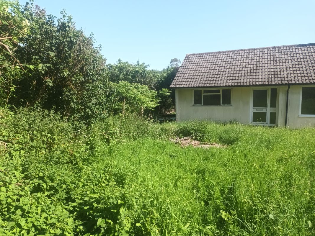 Image 7 of 14