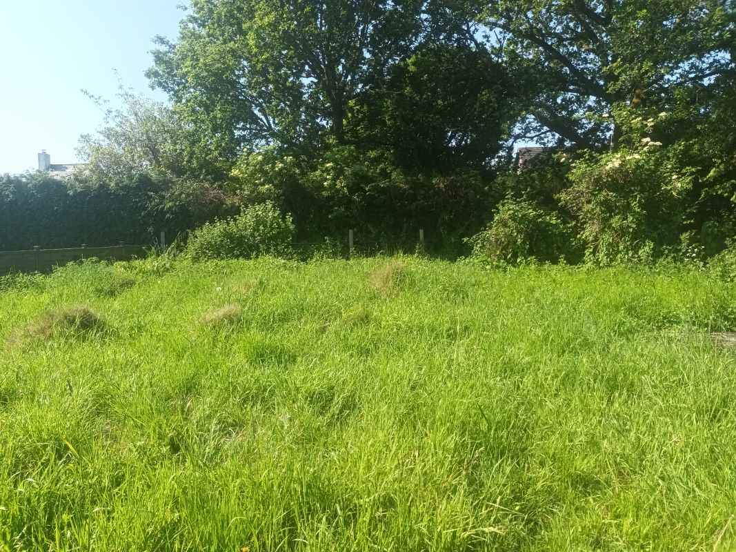 Image 8 of 14