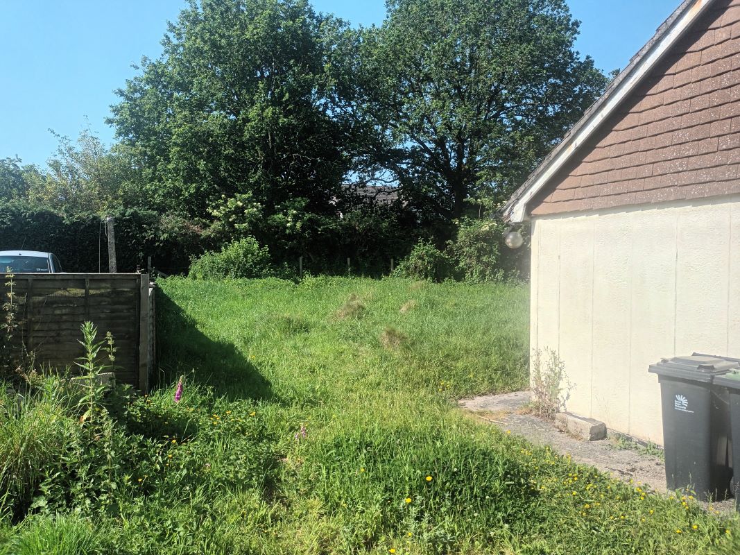Image 9 of 14