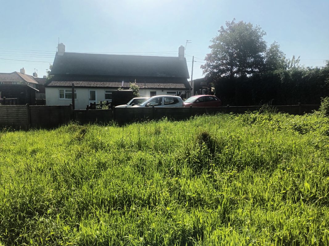 Image 10 of 14