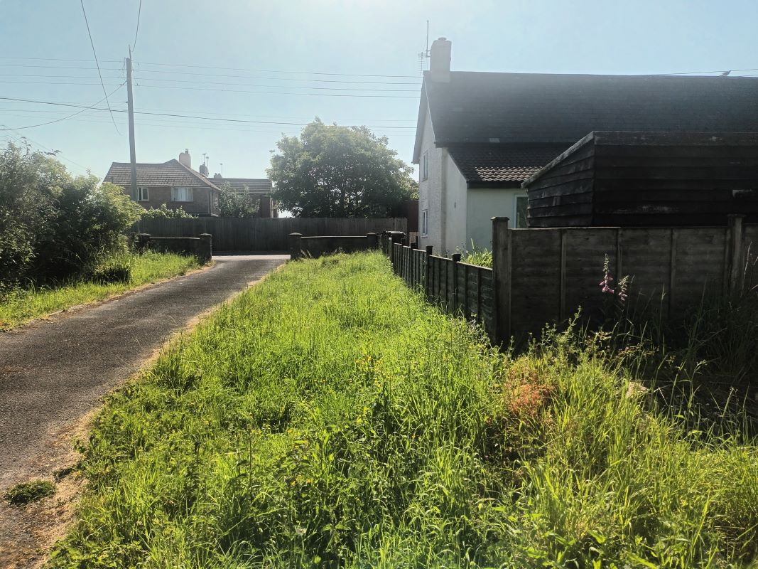 Image 11 of 14