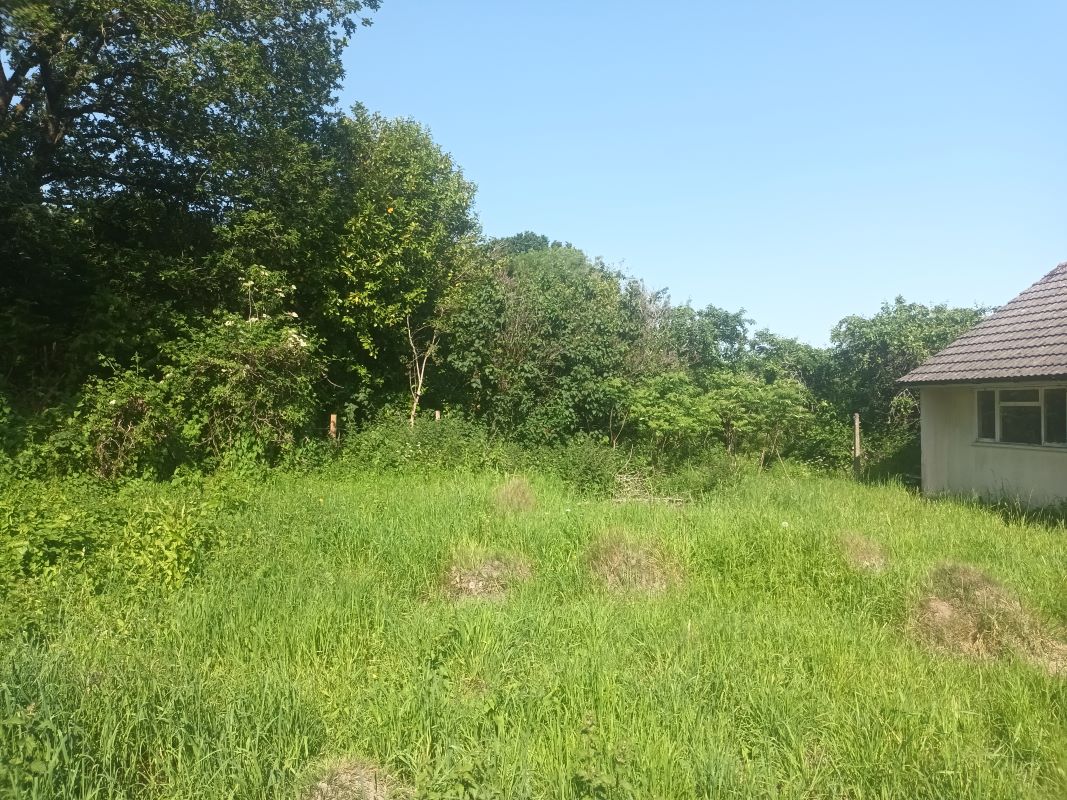 Image 12 of 14
