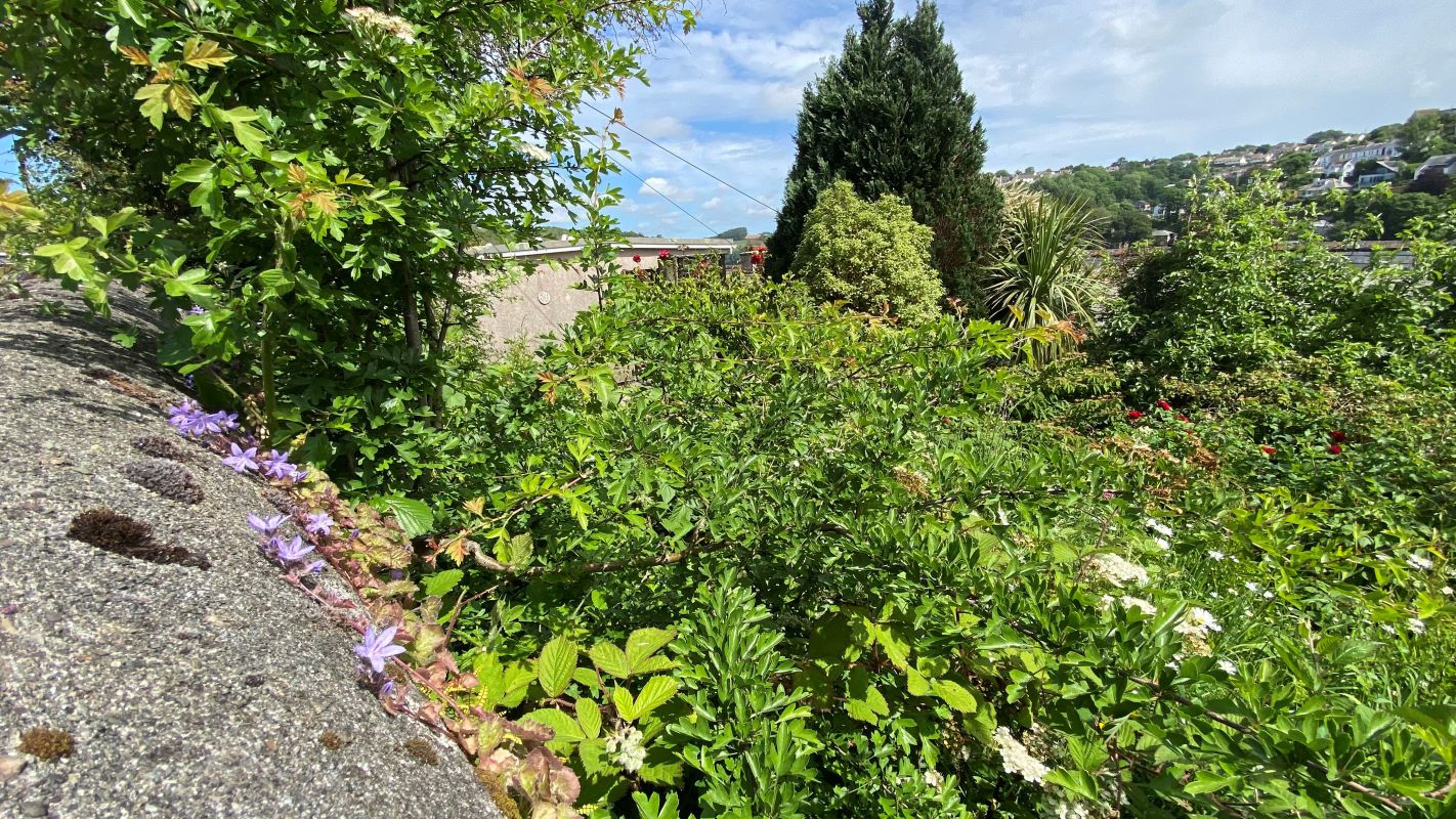 Image 5 of 8