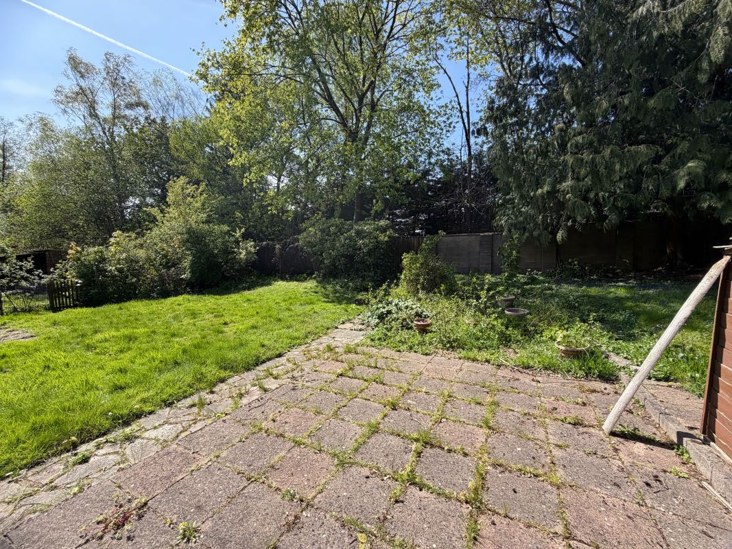 Image 20 of 23