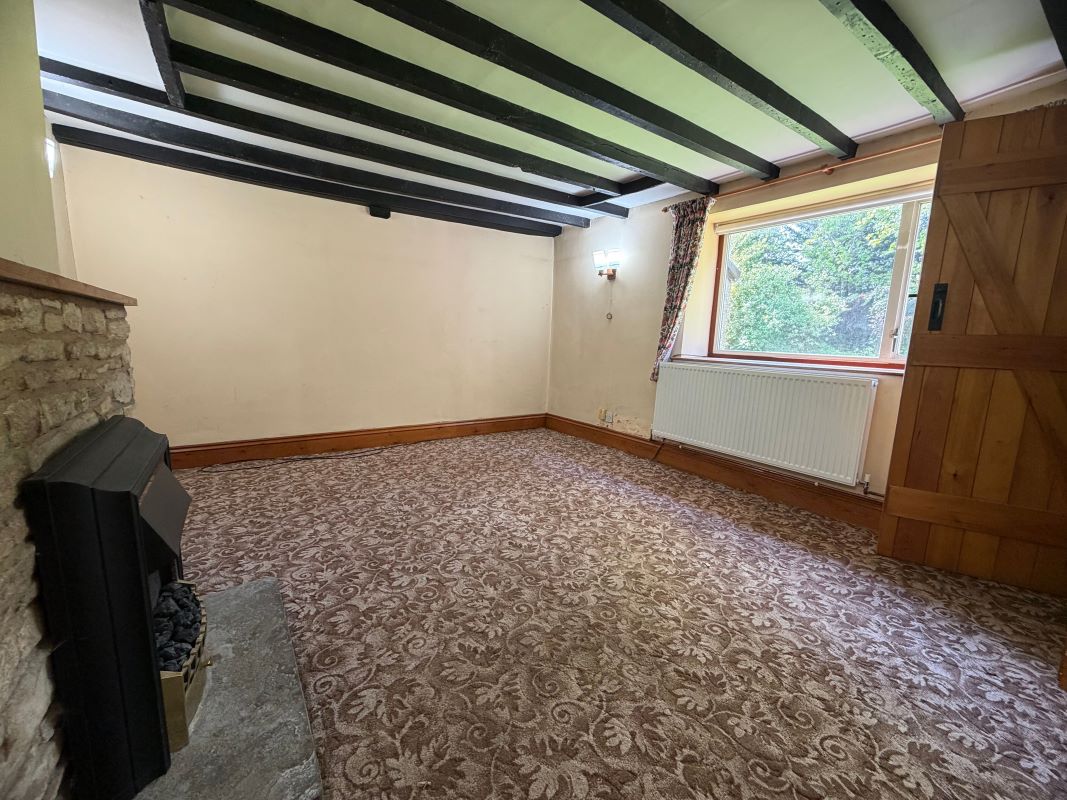 Image 10 of 23