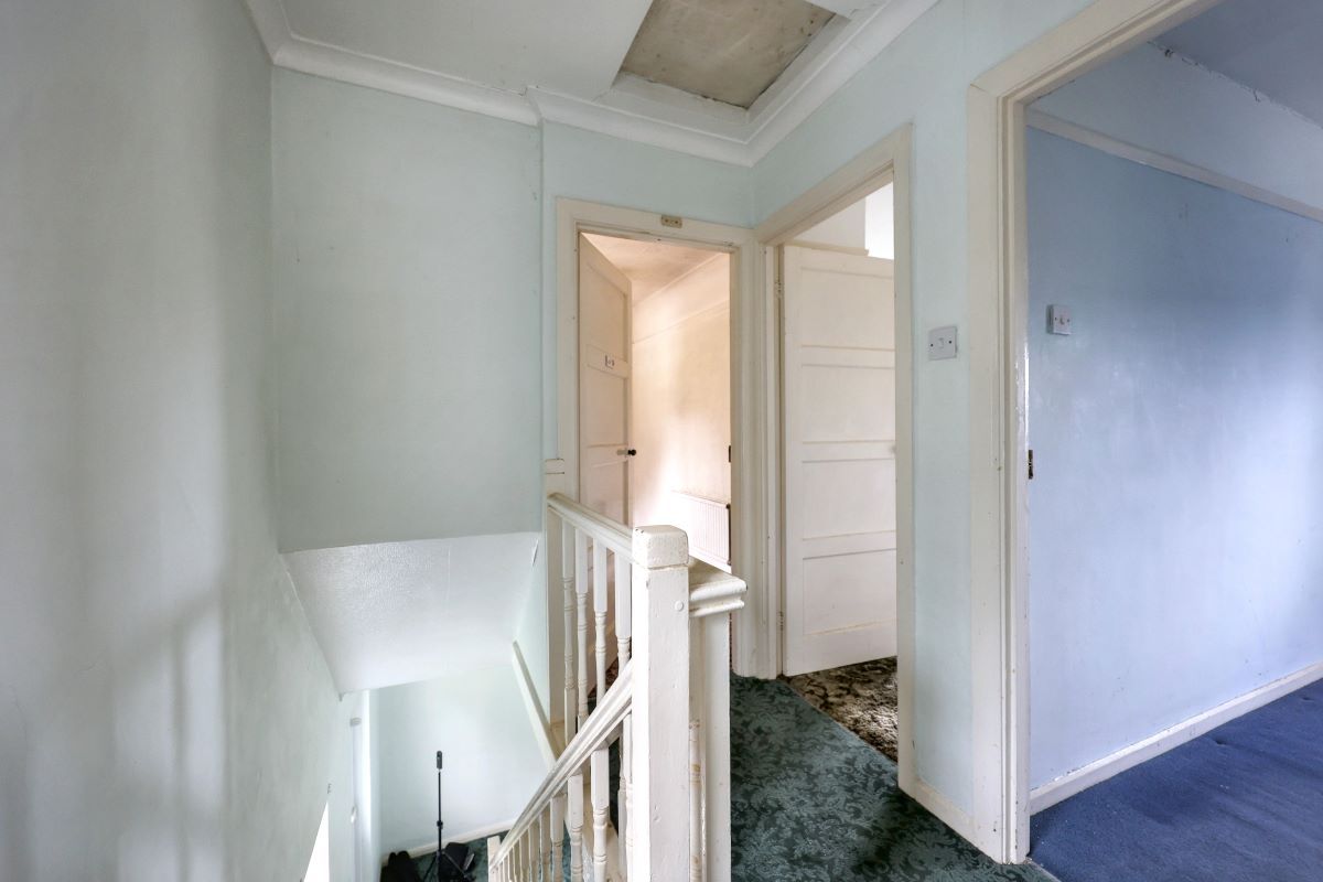 Image 12 of 29