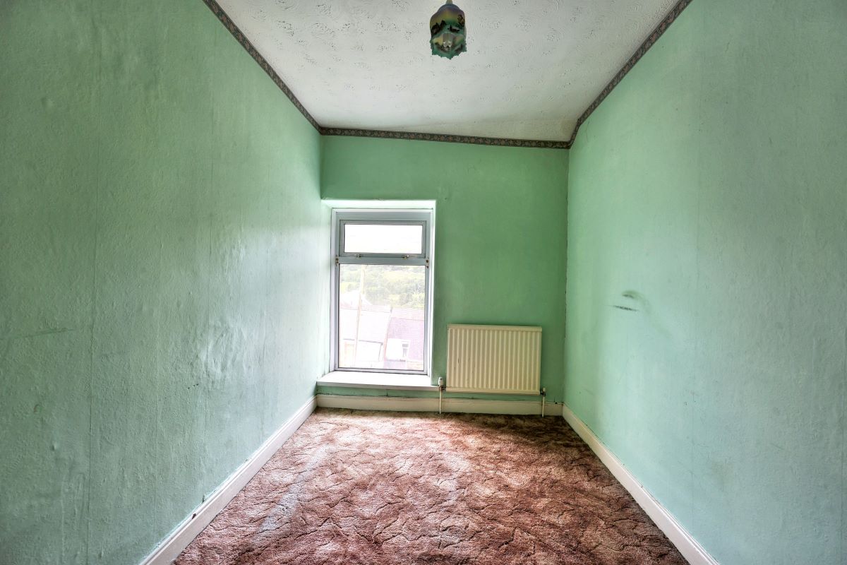 Image 4 of 19