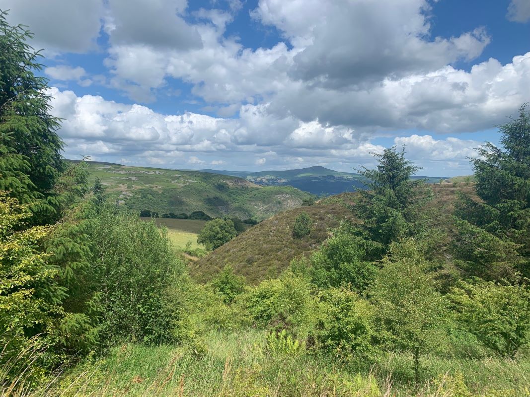 Image 6 of 9