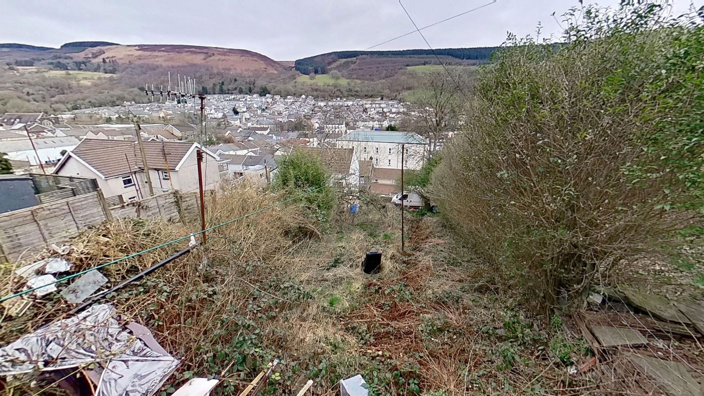 Image 6 of 15