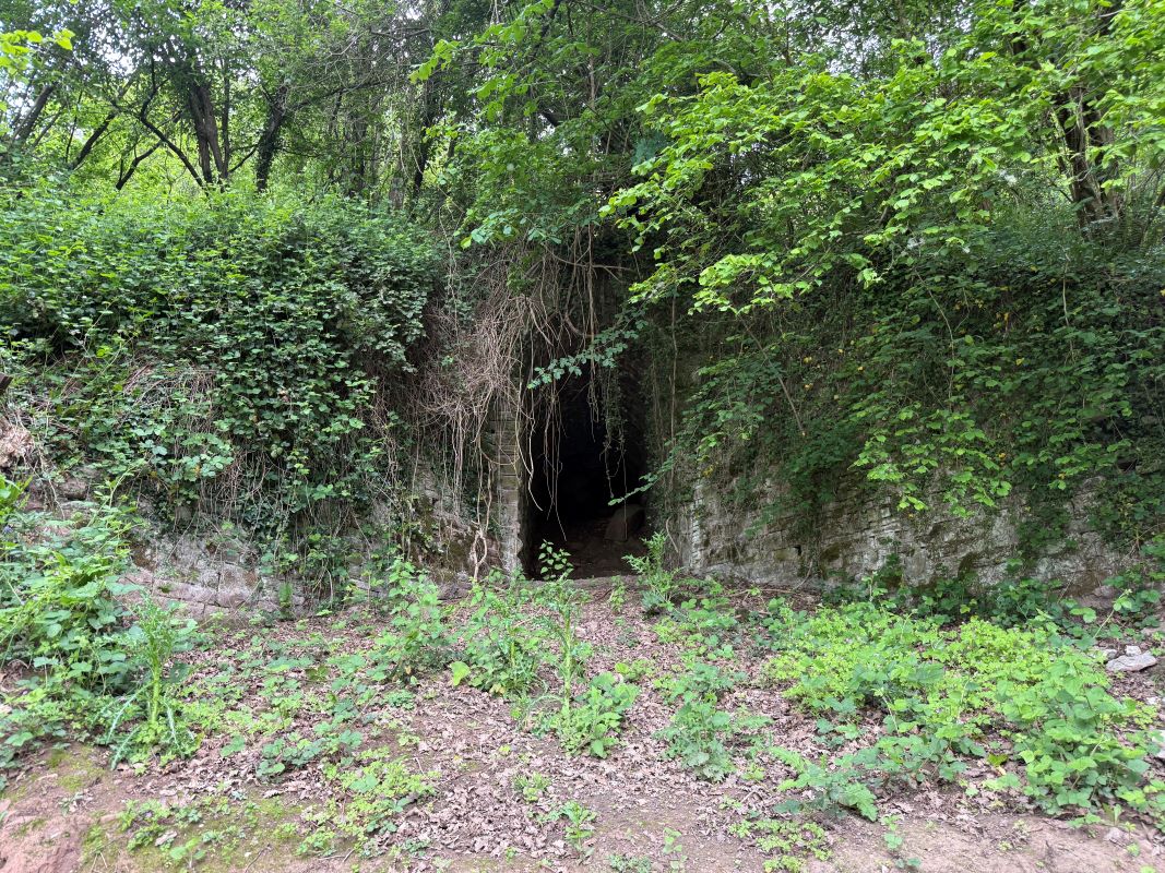 Image 4 of 5