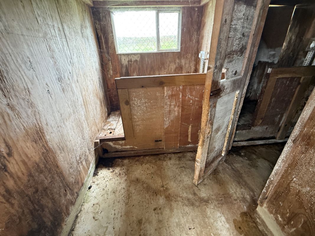 Image 10 of 26