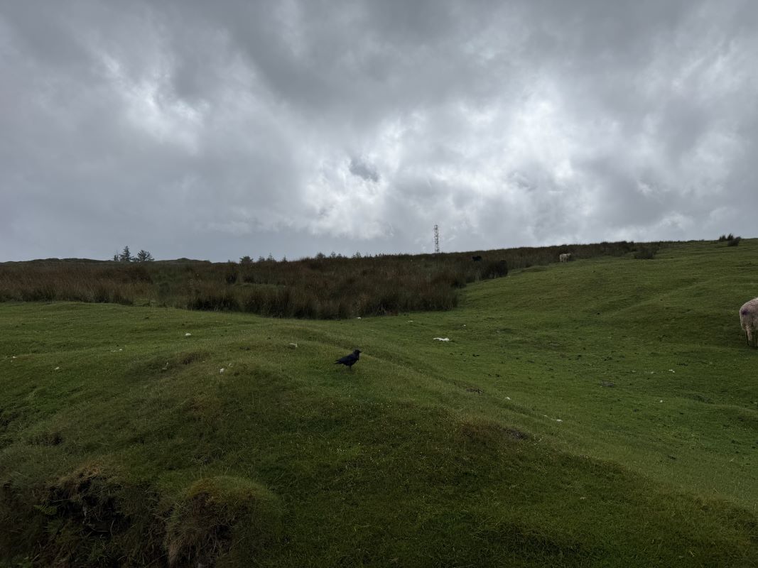 Image 23 of 26