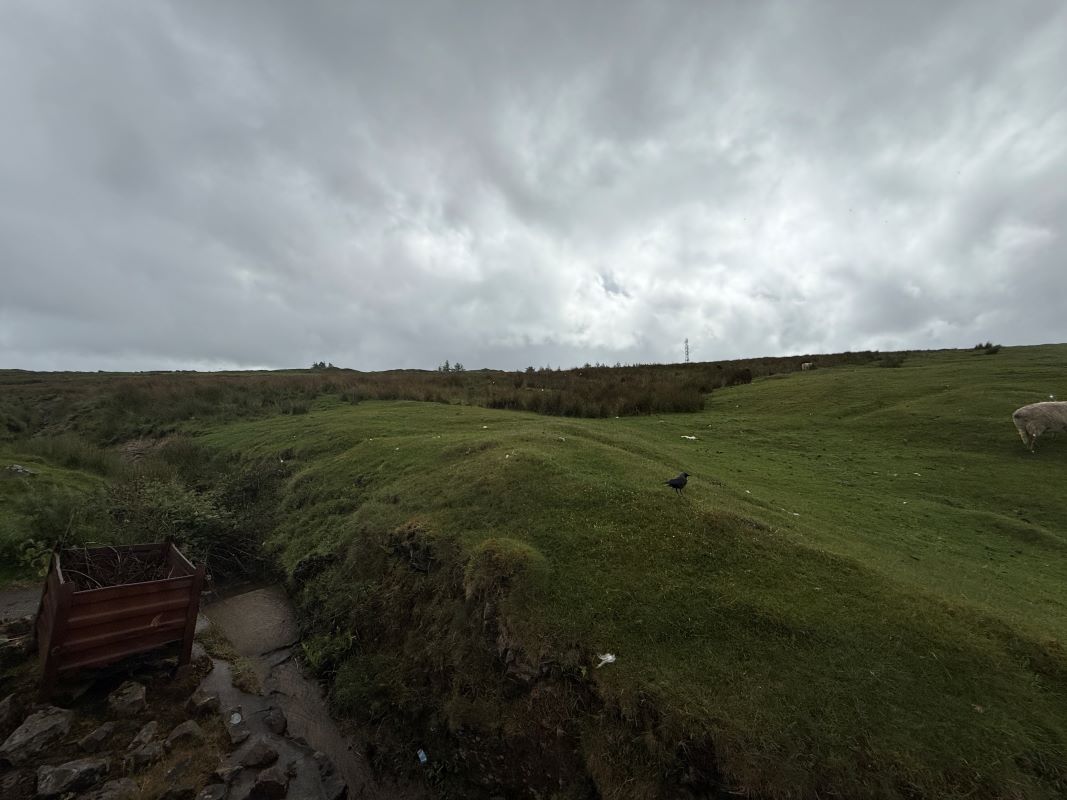 Image 26 of 26