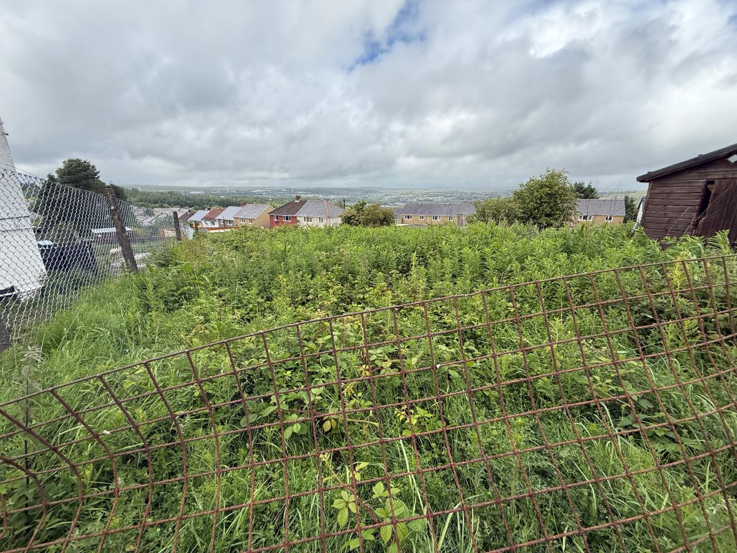 Image 25 of 26