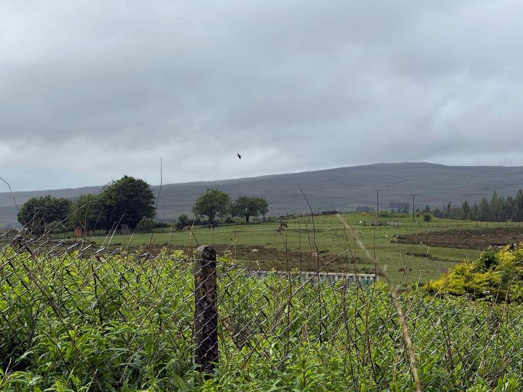 Image 24 of 26