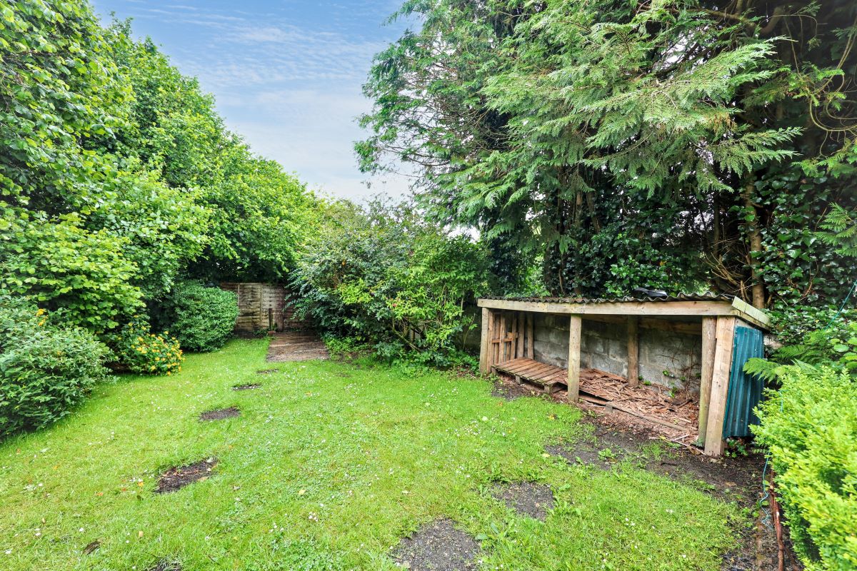 Image 14 of 17