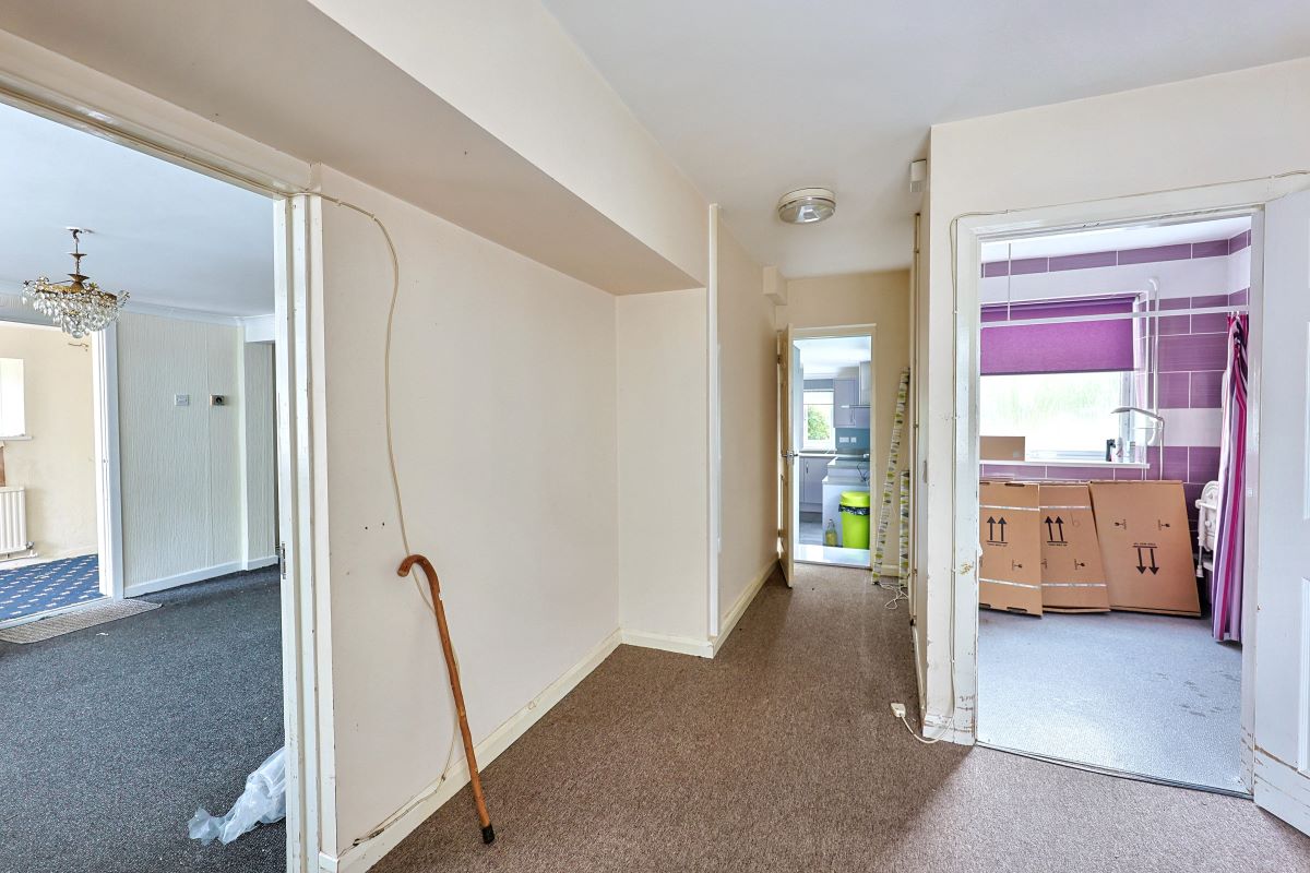 Image 6 of 17