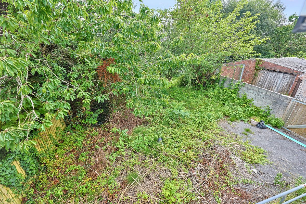 Image 15 of 17