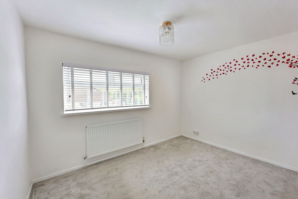Image 10 of 16