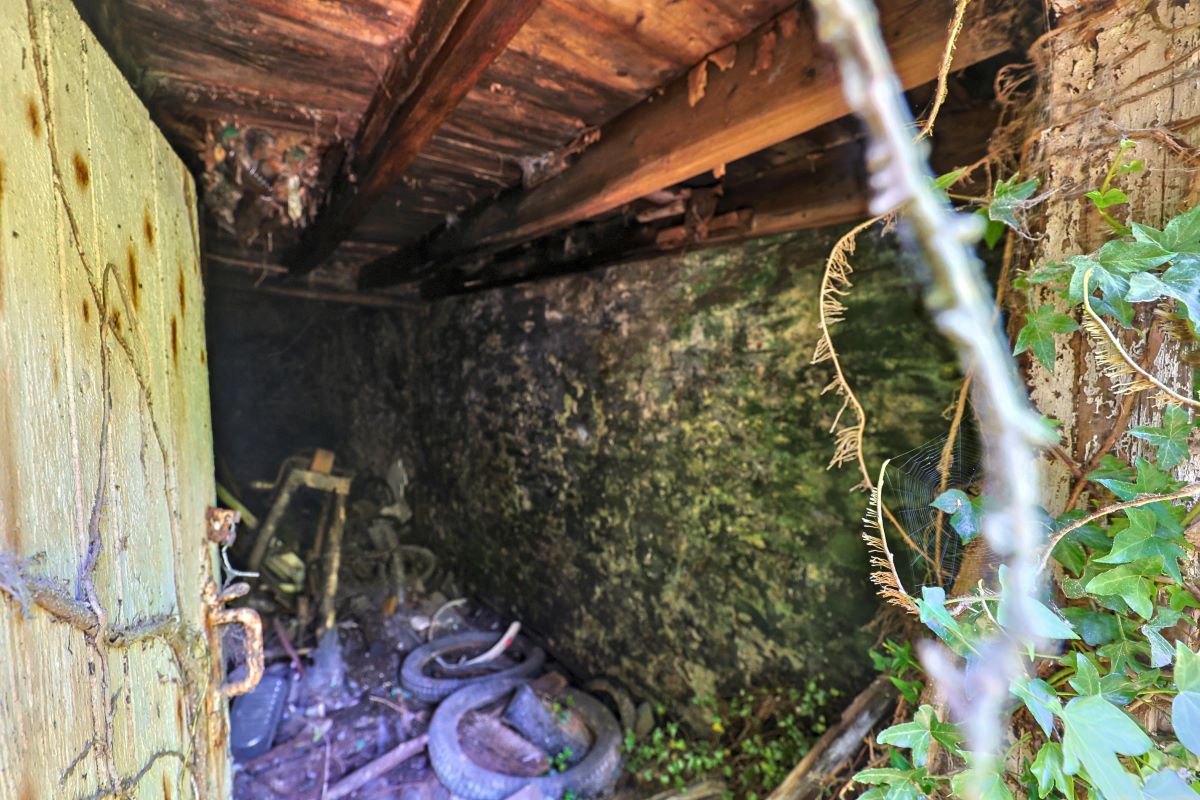 Image 11 of 37