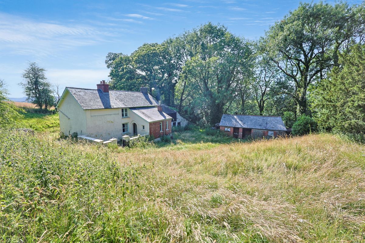 Image 6 of 26