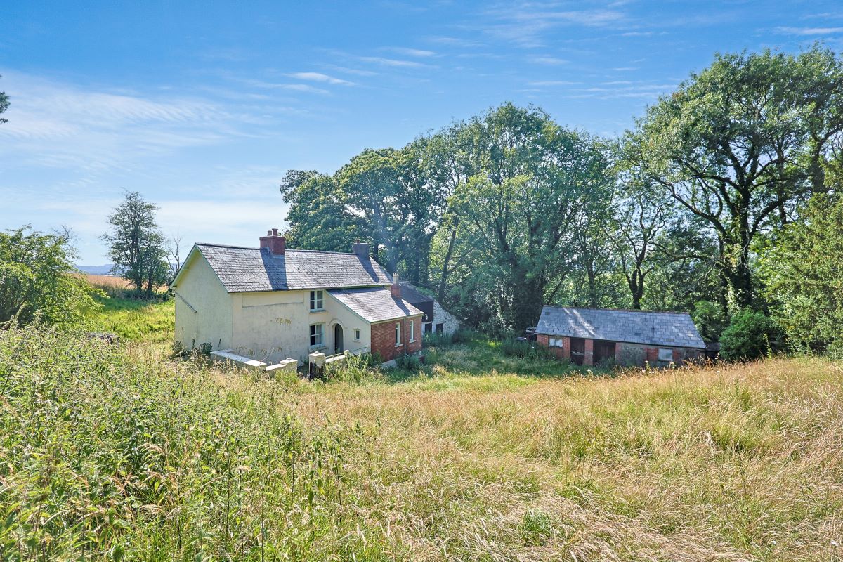 Image 7 of 26
