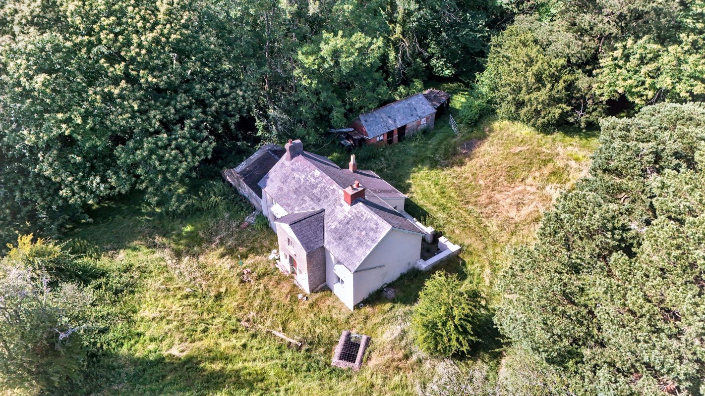 Image 8 of 26