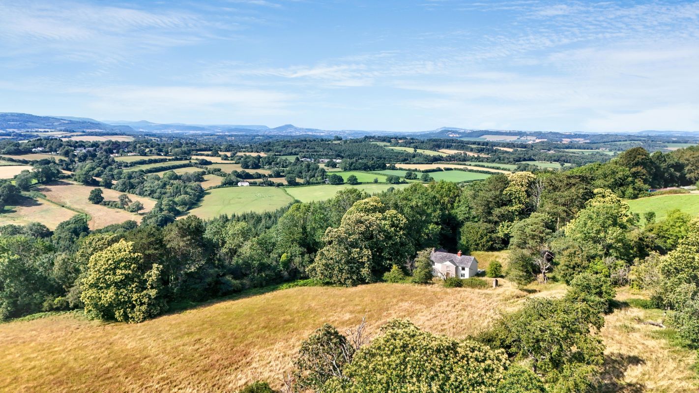 Image 14 of 26
