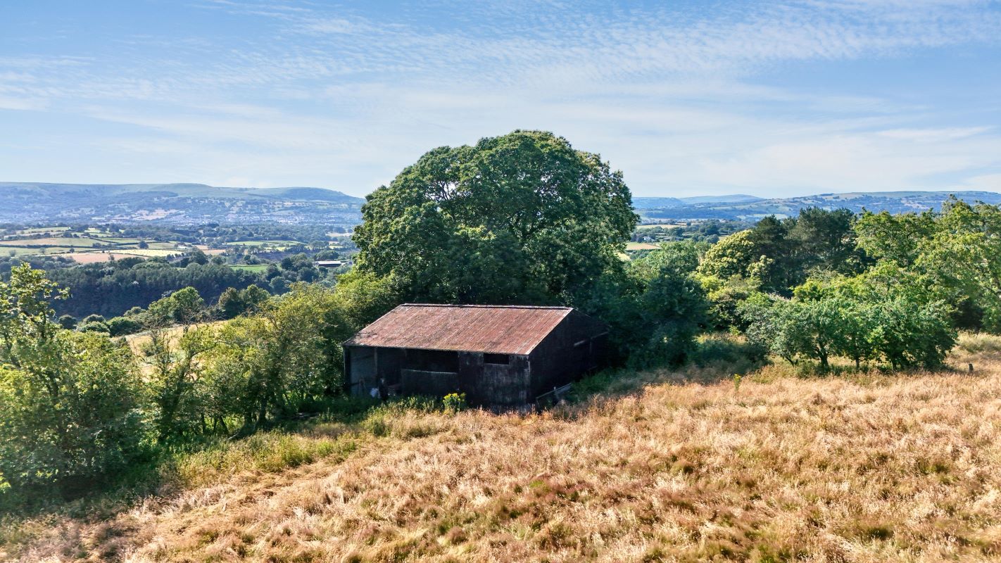 Image 15 of 26