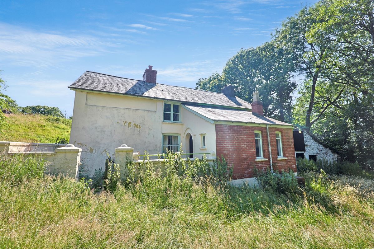 Image 17 of 26