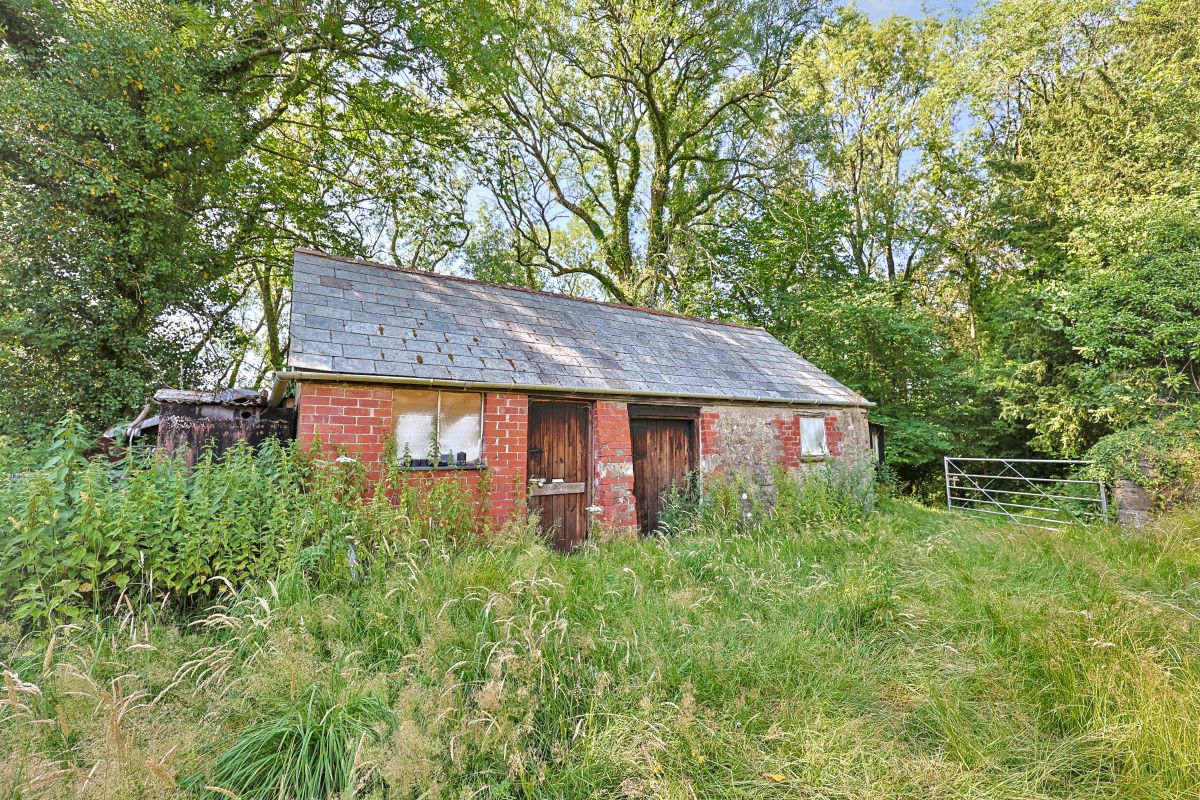 Image 19 of 26