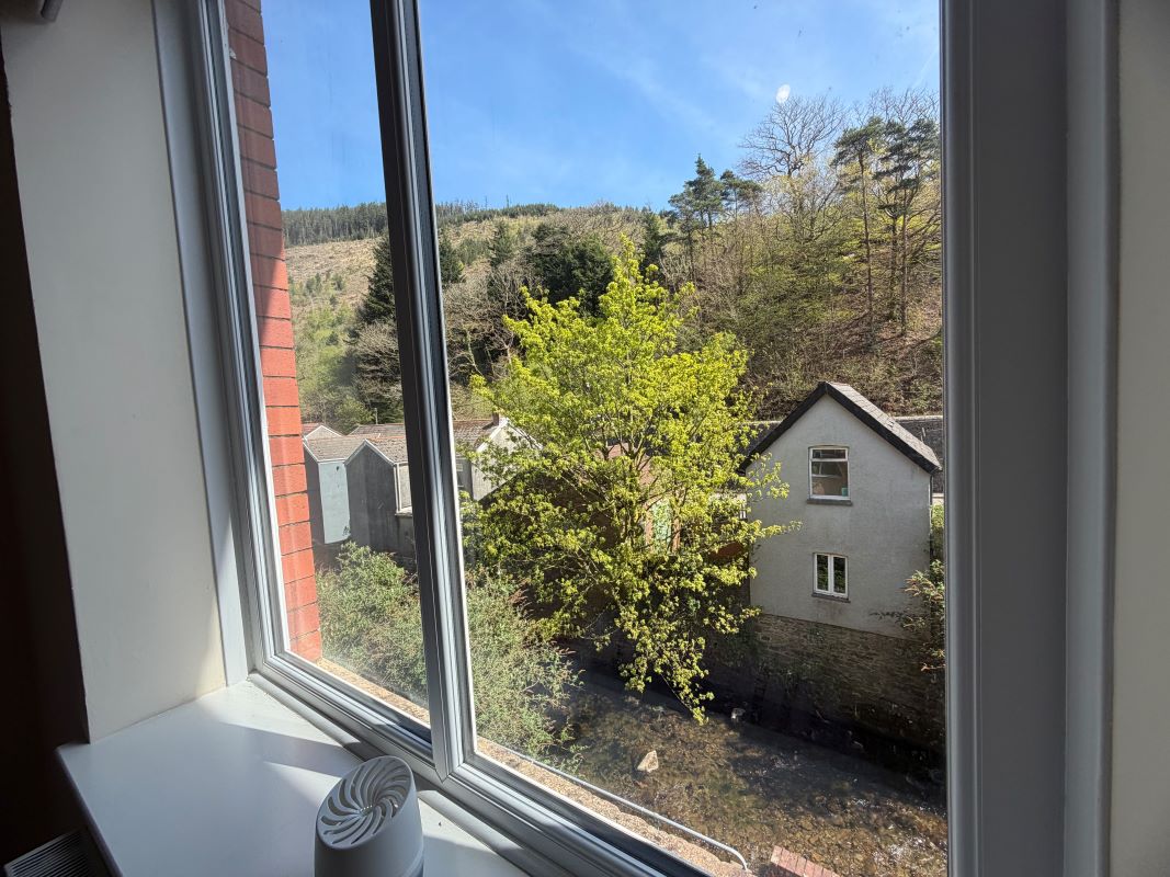 Image 6 of 15
