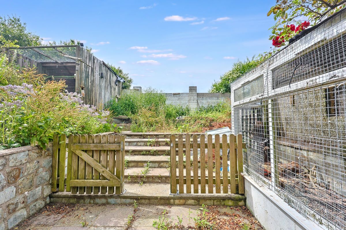 Image 10 of 20