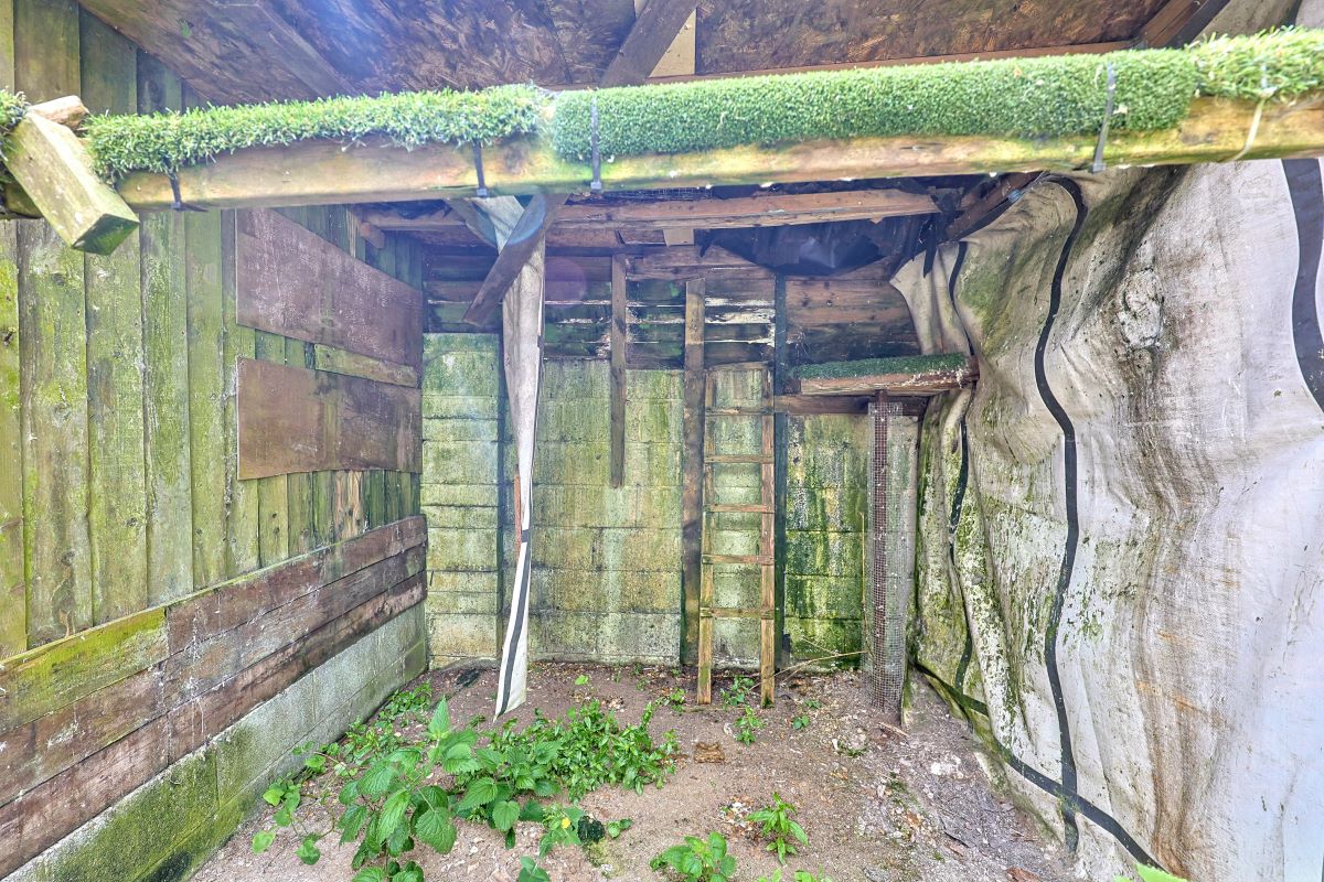 Image 11 of 20